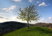 Environmental Science For Senior Secondary XIIth(12th) Environmental Science For Senior Secondary XIIth(12th)